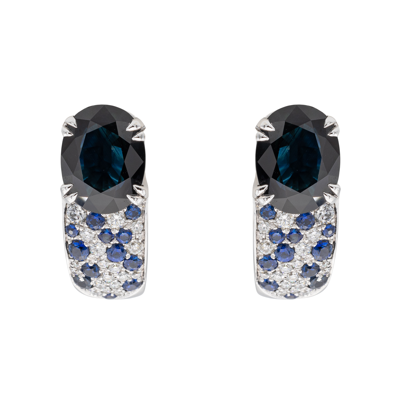 POLISSEUSE ORBIT 15 ORBITALE À DOUBLE ACTION - Produits Sanitech POLISSEUSE ORBIT 15 ORBITALE À DOUBLE ACTION - Produits Sanitech
